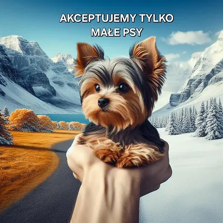 Goralski Niedzwiedzia Gawra By Rentilopl *